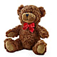Adorable Plush Bear – DE VARS-PHILLIPS FLORISTS & ANTIQUES, Hartford CT