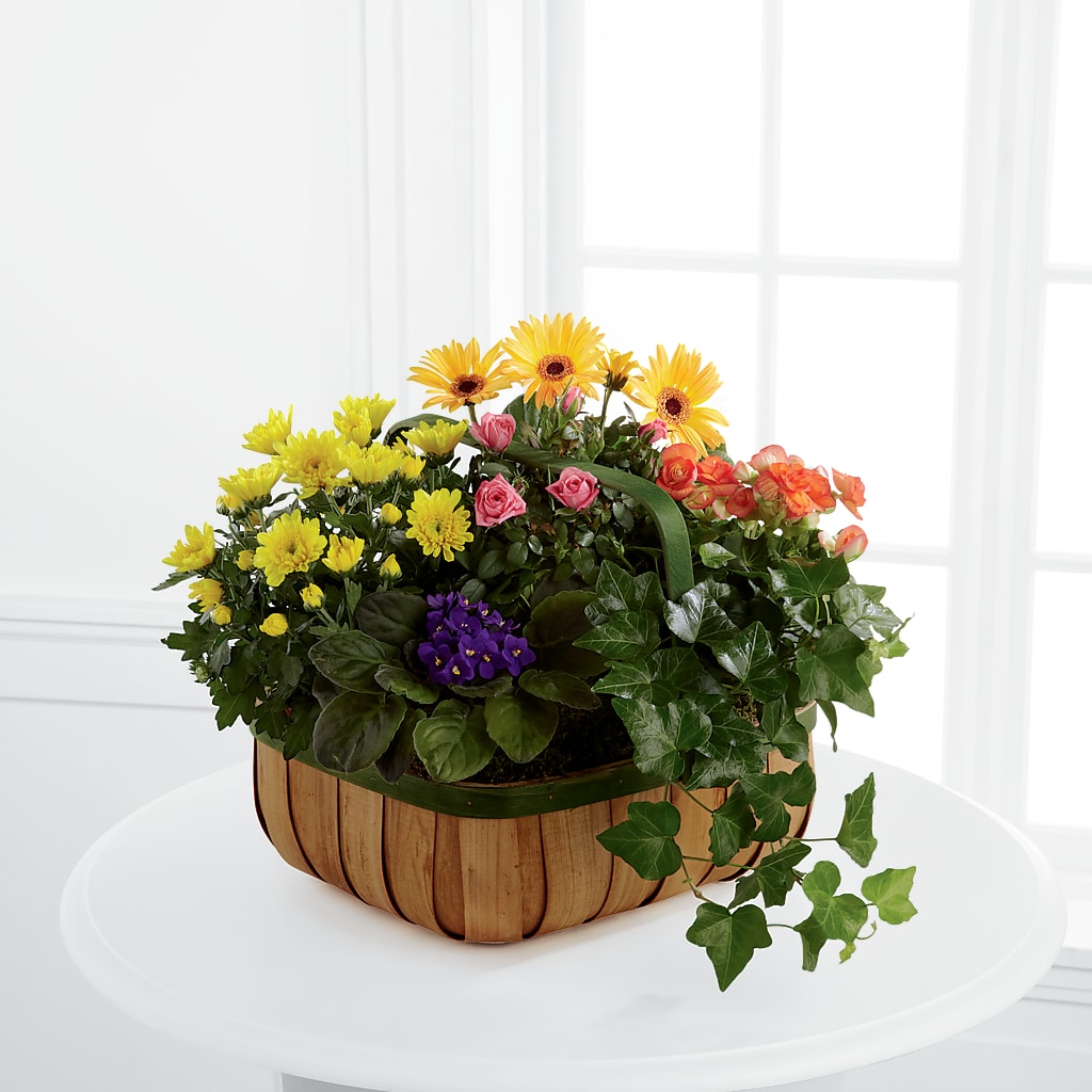 Gentle Blossoms Basket – DE VARS-PHILLIPS FLORISTS & ANTIQUES, Hartford CT
