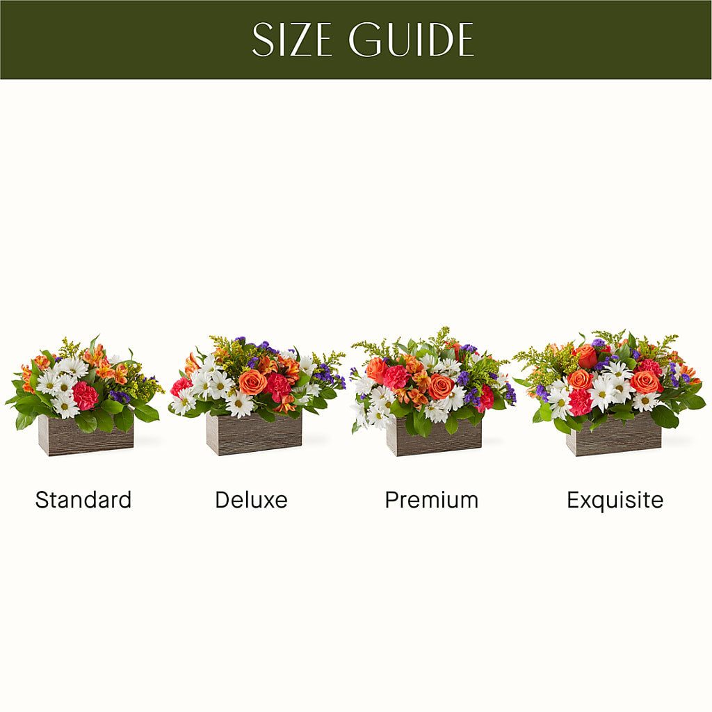 Oopsie Daisy Box Bouquet – DE VARS-PHILLIPS FLORISTS & ANTIQUES, Hartford CT