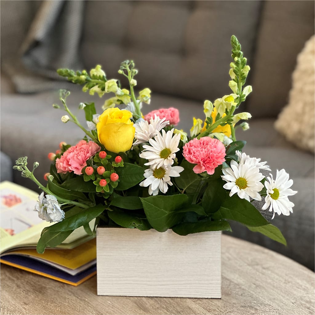 Sun Salutation Box Bouquet – DE VARS-PHILLIPS FLORISTS & ANTIQUES, Hartford CT