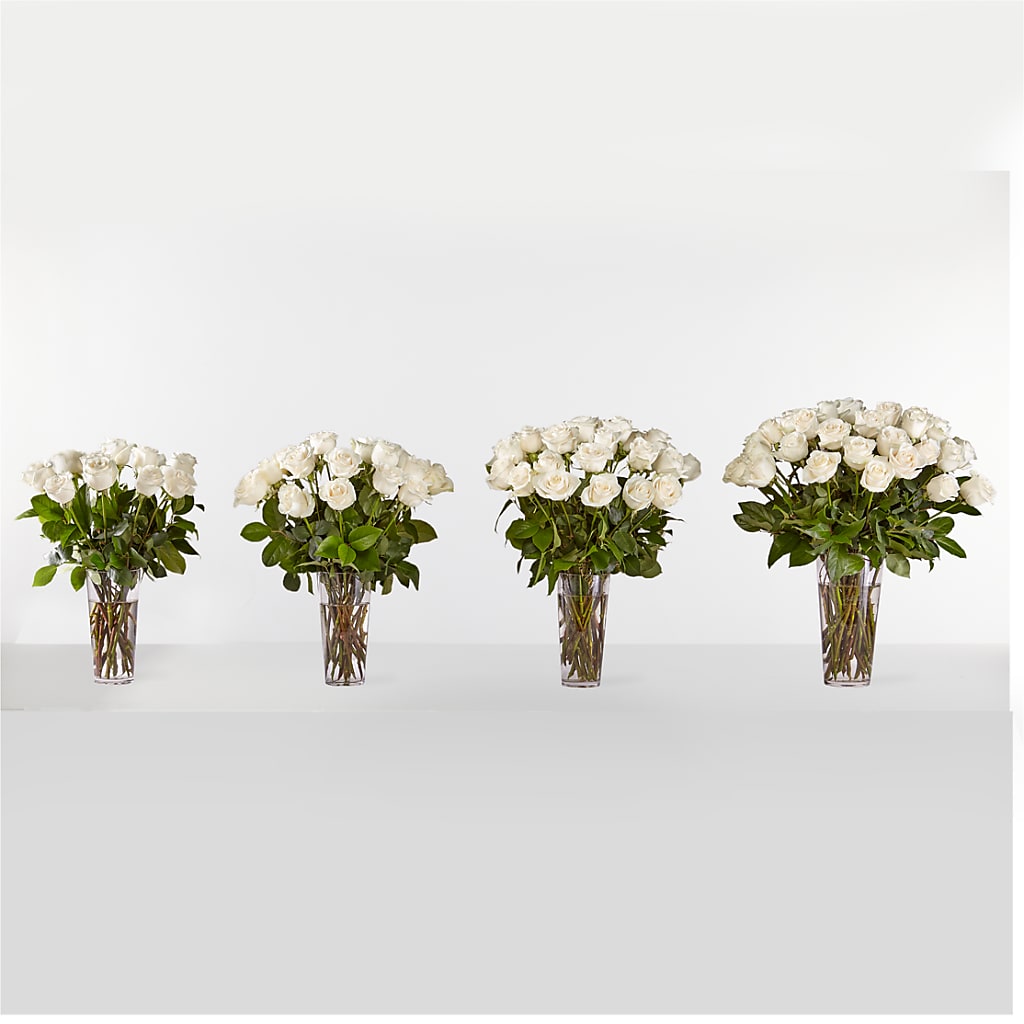 Long Stem White Rose Bouquet – DE VARS-PHILLIPS FLORISTS & ANTIQUES, Hartford CT