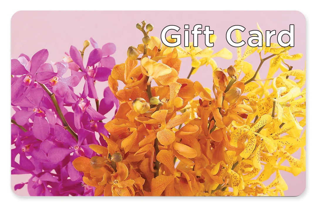 Gift Card – DE VARS-PHILLIPS FLORISTS & ANTIQUES, Hartford CT