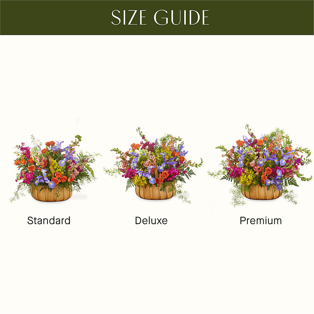Garden of Life Basket – DE VARS-PHILLIPS FLORISTS & ANTIQUES, Hartford CT