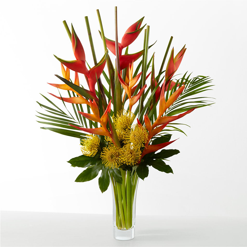 The Drama – DE VARS-PHILLIPS FLORISTS & ANTIQUES, Hartford CT