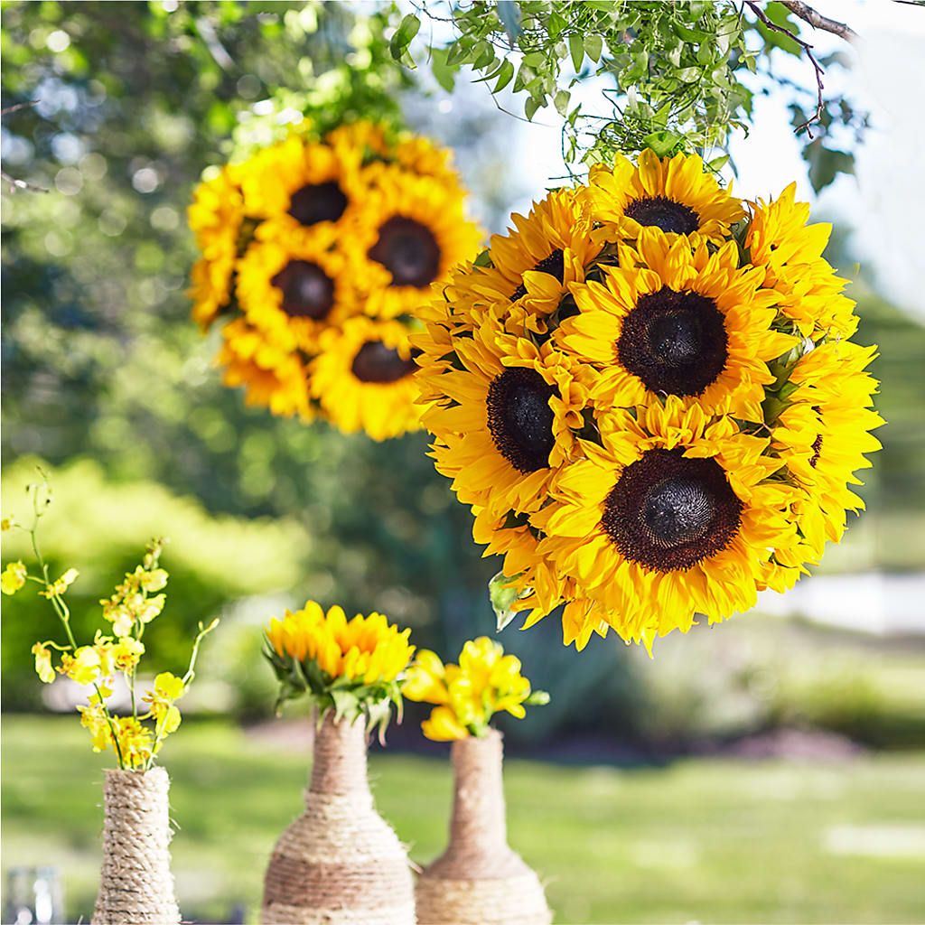 Sublime Garden Hanging Arrangement – DE VARS-PHILLIPS FLORISTS & ANTIQUES, Hartford CT
