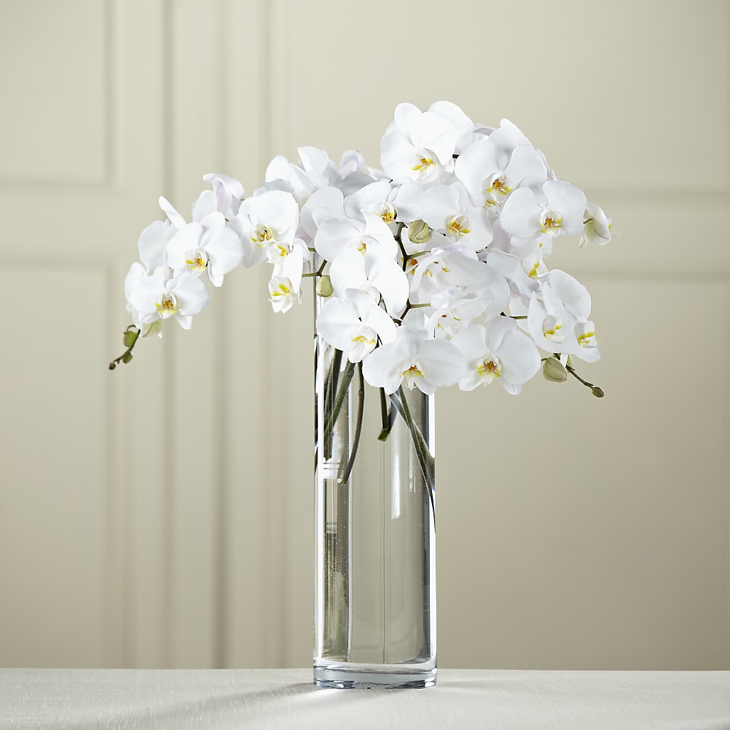 White Phalaenopsis Bouquet – DE VARS-PHILLIPS FLORISTS & ANTIQUES, Hartford CT