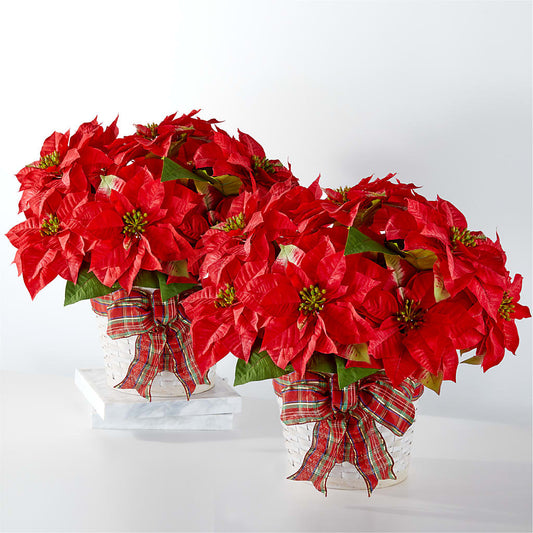 Happiest Holidays Poinsettia Bundle – DE VARS-PHILLIPS FLORISTS & ANTIQUES, Hartford CT