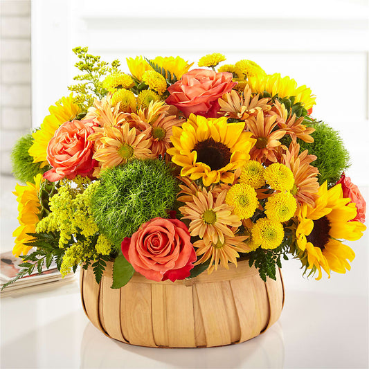 Harvest Sunflower Basket – DE VARS-PHILLIPS FLORISTS & ANTIQUES, Hartford CT