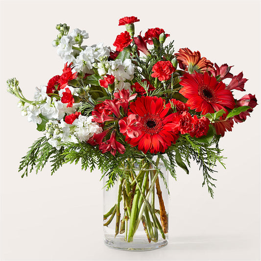 Holidaisy Bouquet – DE VARS-PHILLIPS FLORISTS & ANTIQUES, Hartford CT